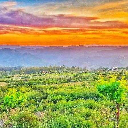 Gite El Houmar Tanakoub Exteriér fotografie